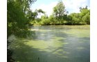 Property photo 12 - AUCTION CANCELLED TONIGHT!! SOLD Prior to Auction! 84+/- Acres Offered in 4 Tracts